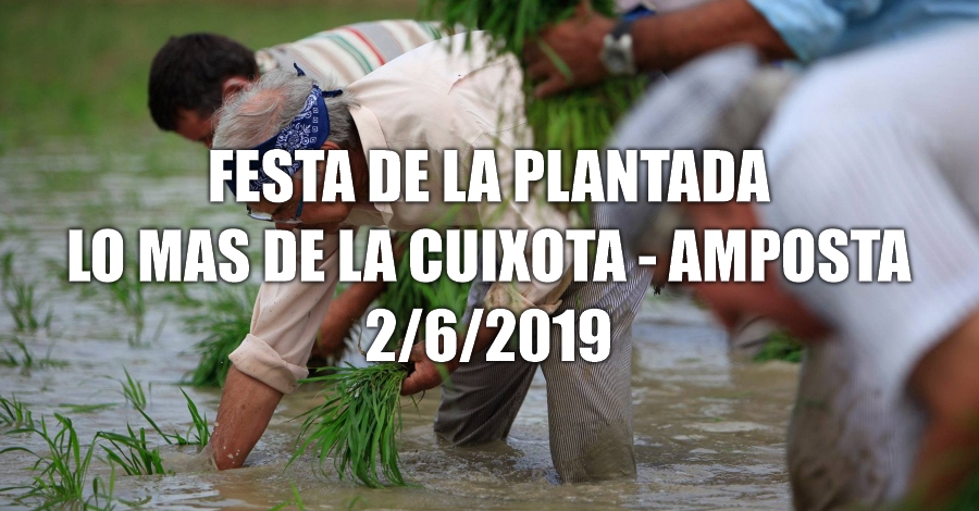 Festa de la Plantada de larrs 