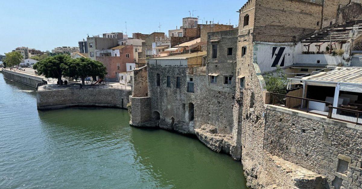 Finalitzen les tasques de neteja de la faana fluvial