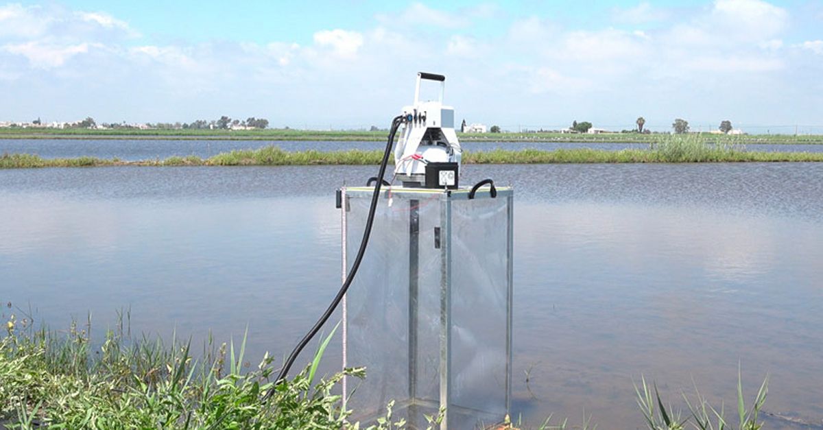 Eurecat desplegar� al delta de l�Ebre una xarxa de finques pilot per al foment de la bioeconomia i la resili�ncia clim�tica