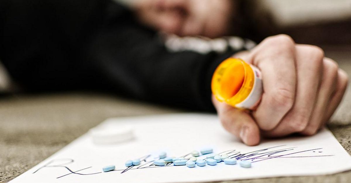 Els centres de secund�ria participen en una formaci� sobre el consum de drogues
