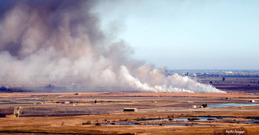 Un gran n�vol de fum alerta als ve�ns del Delta