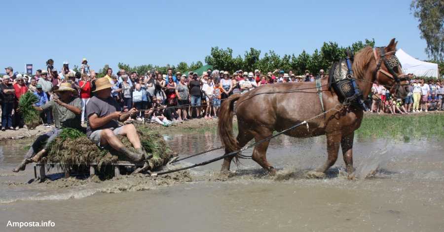 La Festa de la Plantada arriba a la 30a edici�