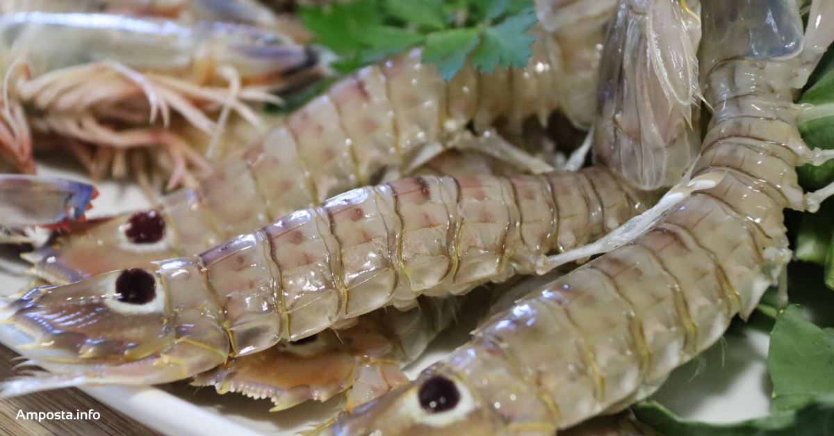 El GALP Mar de l�Ebre presenta la campanya �De la mar, al plat!�