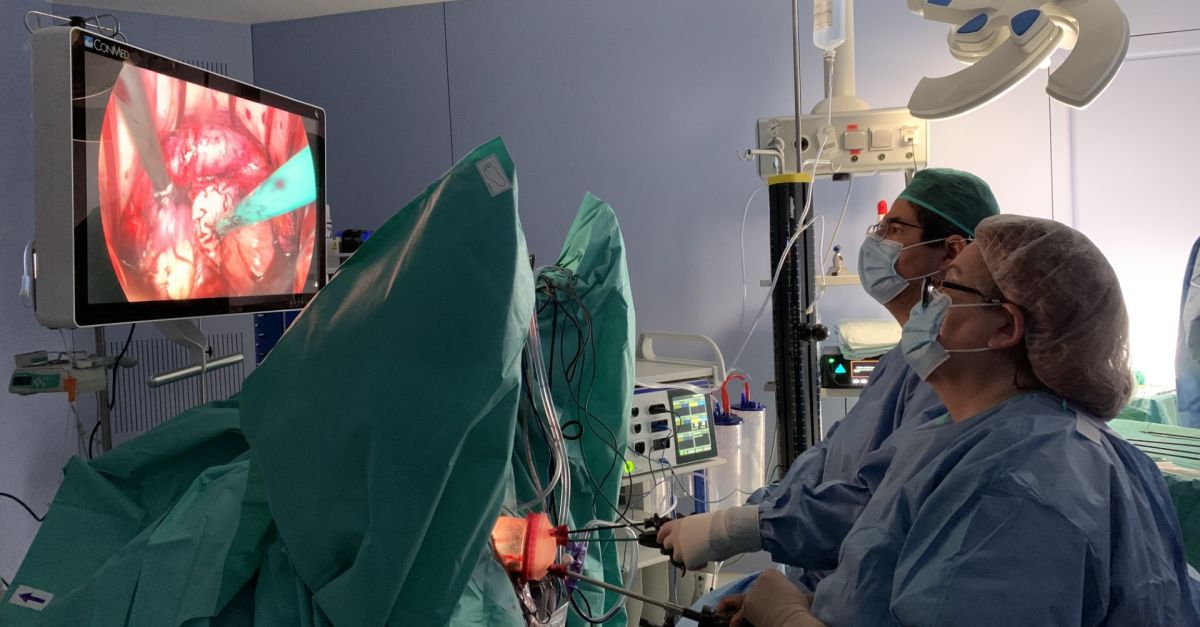 LHospital Comarcal dAmposta lidera la innovaci en cirurgia ginecolgica amb la tcnica V-Notes