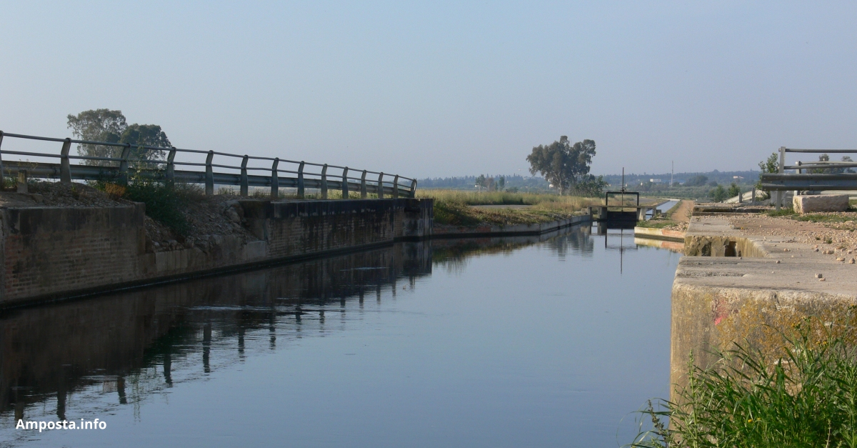 Comencen a inundar-se els camps d&rsquo;arr�s al Delta de l&rsquo;Ebre