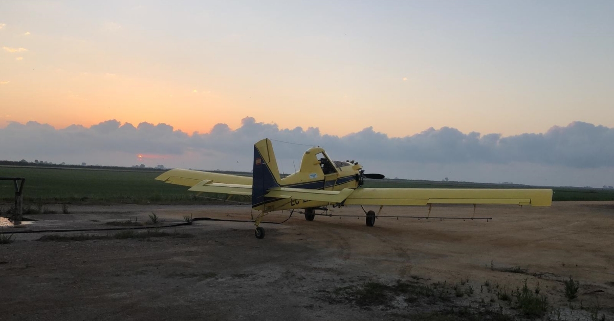 Comencen els tractaments en contra dels mosquits dels arrossars pr�xims als nuclis habitats del delta de l&rsquo;Ebre