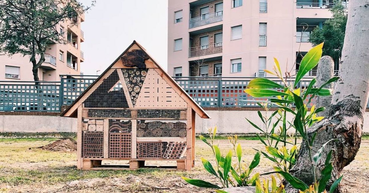 Instal�len un hotel d�insectes al Parc dels Xiribecs