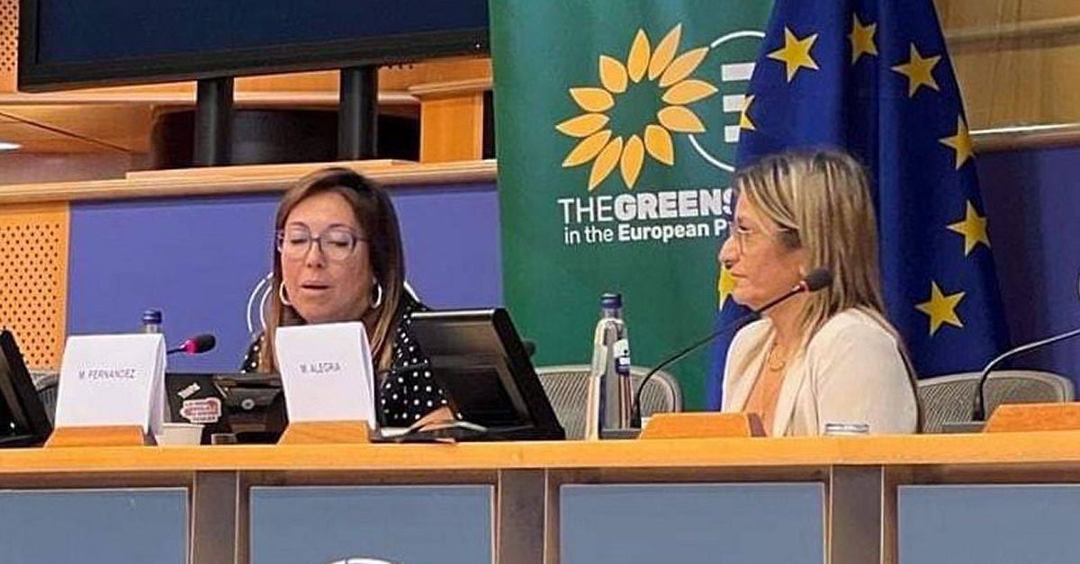 Amposta reivindica la mediaci� per apropar l�educaci� a tothom des del Parlament Europeu