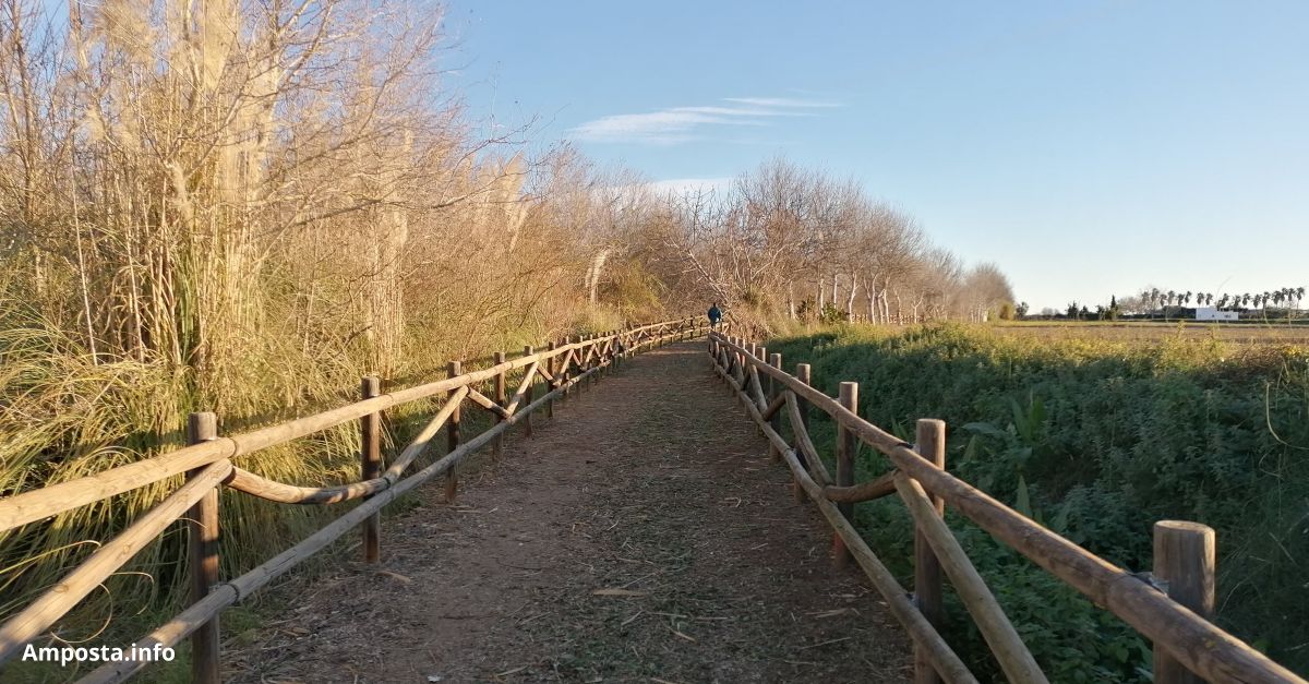 Itinerari sonor i musical pels paisatges del bosc i les aus de ribera