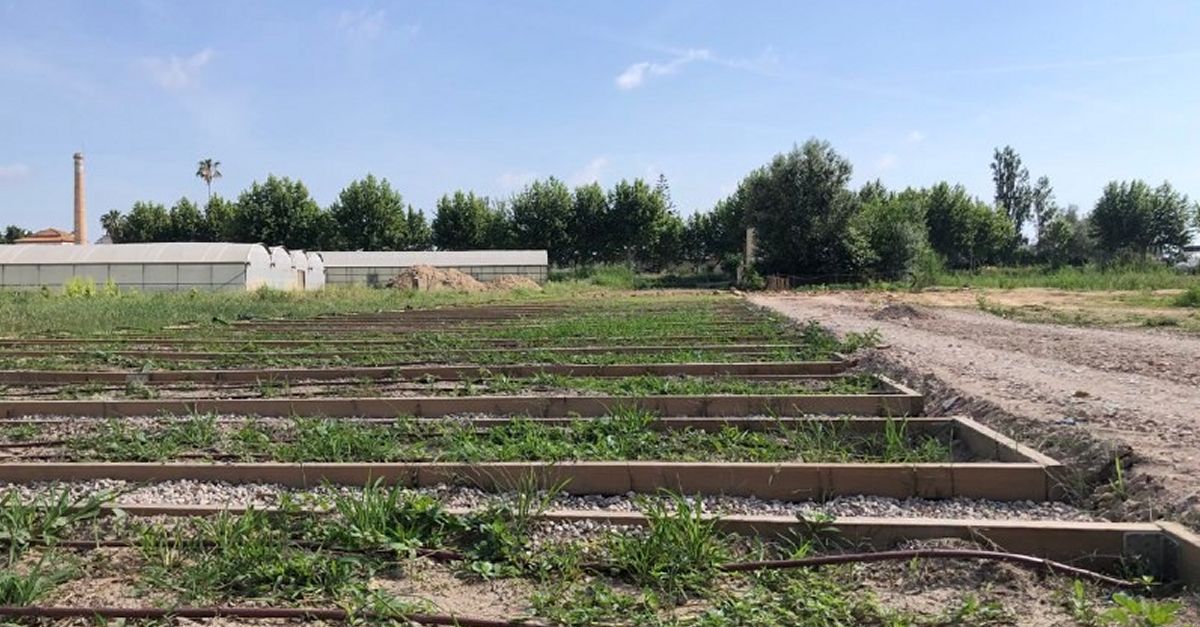 Una vintena de persones i entitats ja poden optar als Horts comunitaris