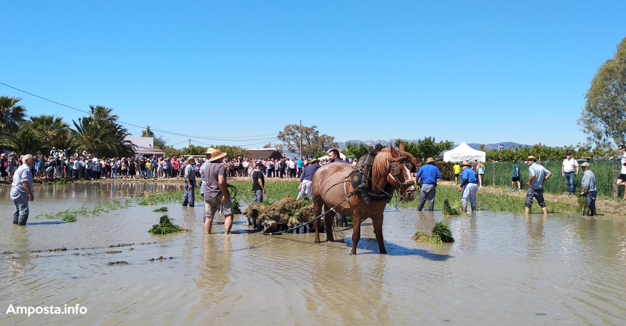 Treballa al Turisme 2020