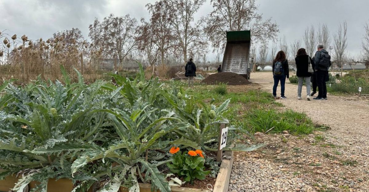 Lo Tros sabonar amb compost provinent de la fracci orgnica de la ciutat
