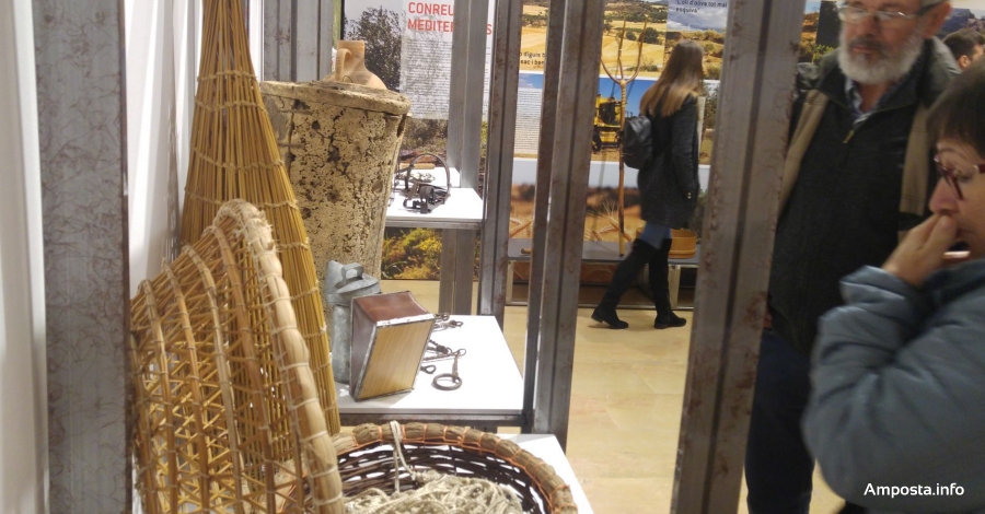 Una nova edici� del programa �Museu inclusiu. Un museu per a tots�