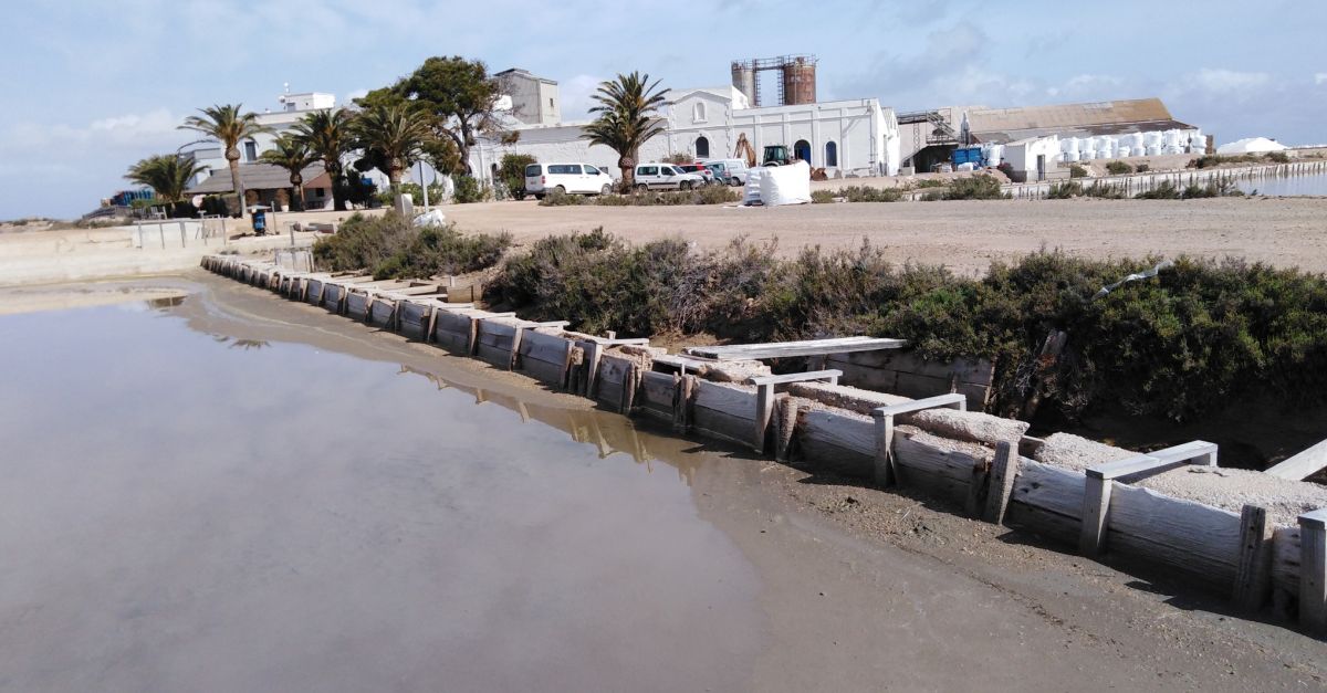 Els mestres d&rsquo;aixa i l&rsquo;extracci� de sal, nous elements a l&rsquo;IPCITE