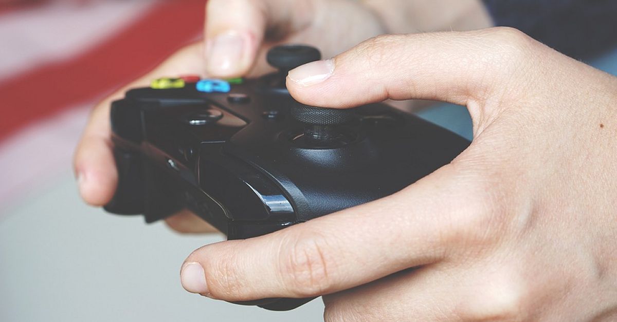 Les Terres de l&rsquo;Ebre comptaran amb set nous graus formatius de grau b�sic, mitj� i superior, per al curs 2022-2023