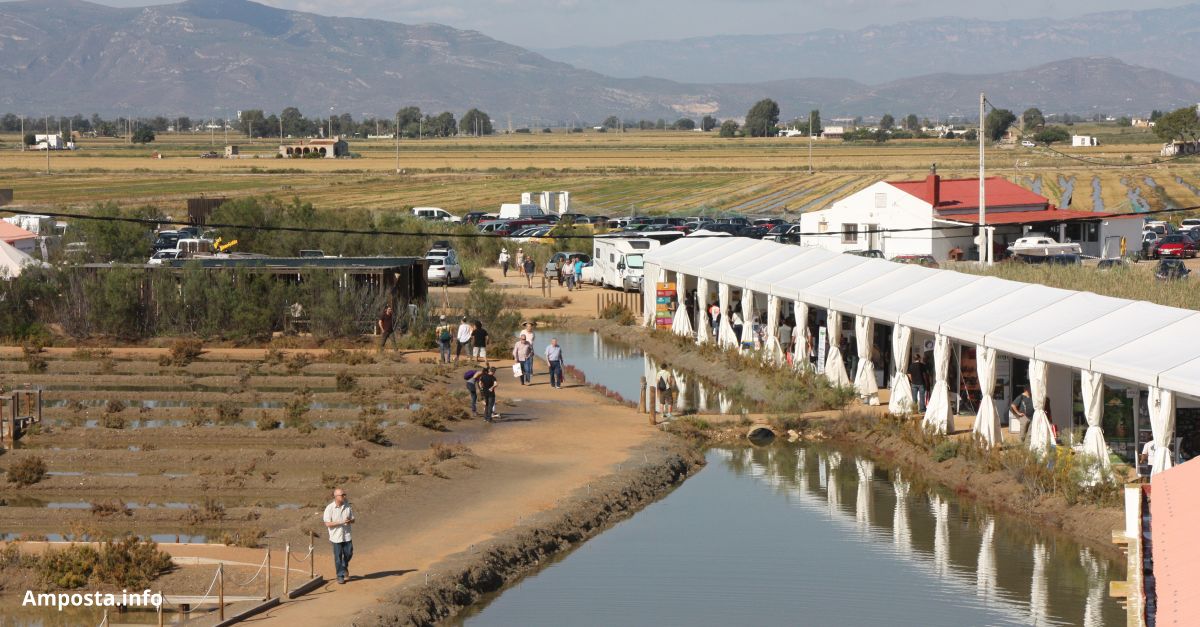 Torna el Delta Birding Festival amb m�s d&rsquo;un centenar de propostes per a ornit�legs i amants de la natura