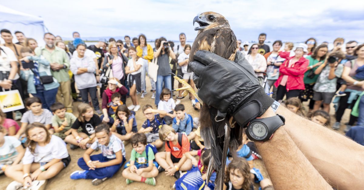 Nova edici� del Delta Birding Festival, el festival ornitol�gic de refer�ncia a la Mediterr�nia