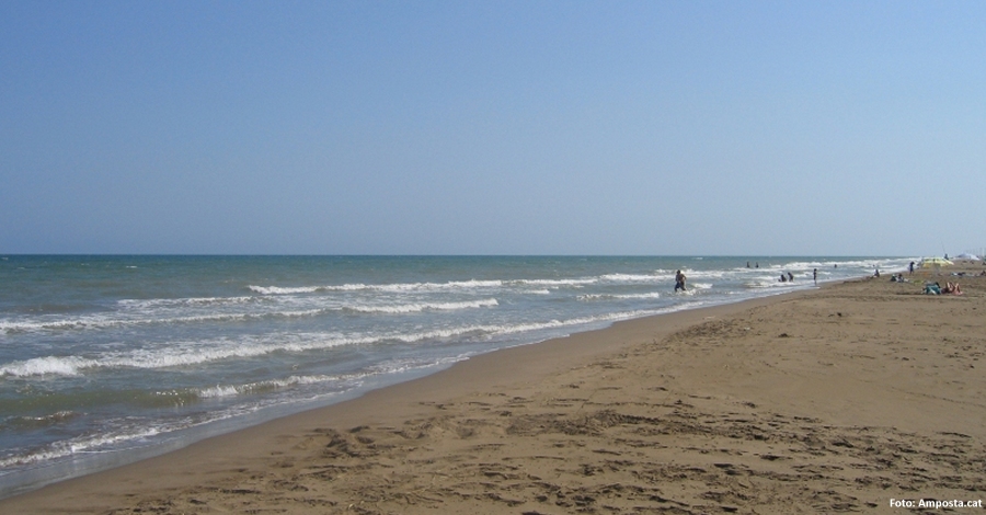 La platja Eucaliptus d�Amposta guardonada amb el distintiu �Platges verges�