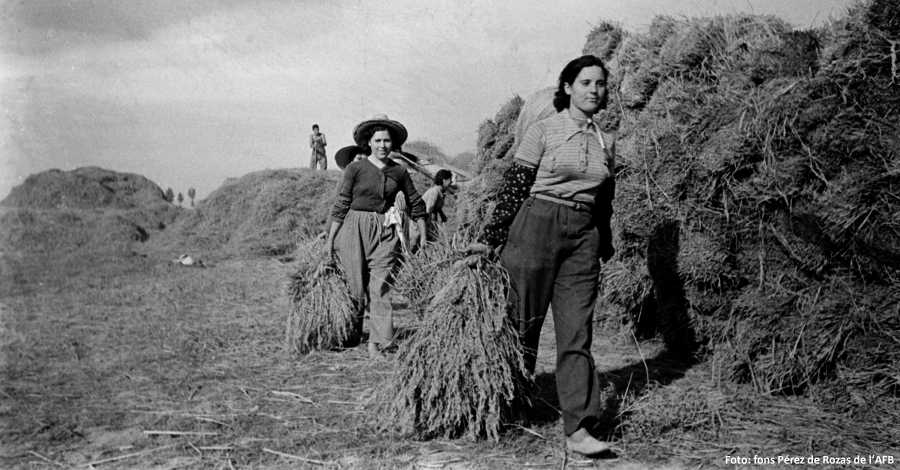 Primera exposici� sobre la Col�lectivitat General d�Amposta, 80 anys despr�s