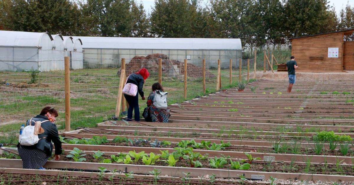 De terrenys heretats a horts socials i comunitaris: una dotzena de persones cultivaran �Lo Tros� d�Amposta