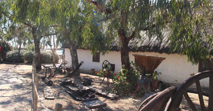 El Restaurant L�Estany organitza una jornada de cuina creativa amb productes del Delta