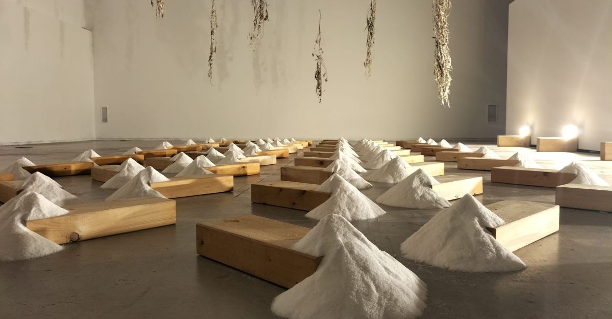 Vuit artistes nacionals i internacionals reflexionen sobre el valor cultural i ambiental de les salines al Delta