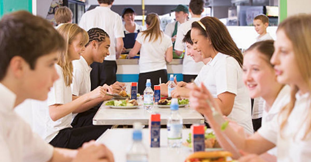 Les fam�lies del Montsi� ja poden sol�licitar els ajuts de menjador individual per al curs 2022-2023