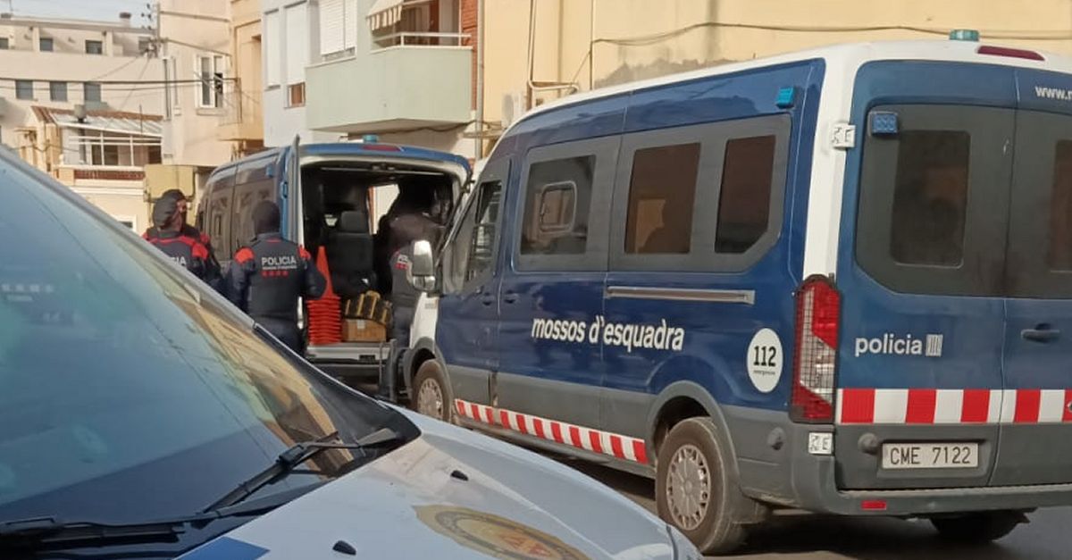 Una dona detinguda i 2.000 euros comissats en un operatiu contra el narcotr�fic a Amposta