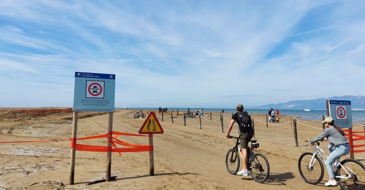 El Delta de lEbre rep 1,39 milions de visites anuals, amb major afluncia a la zona Eucaliptus-Trabucador