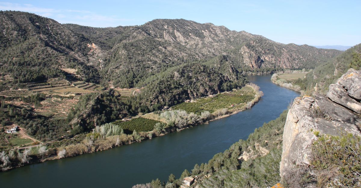 La PDE demana a Mascort que actu� per fer possible una prova de mobilitzaci� de sediments per al Delta