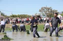 La Festa de la Plantada arriba a la 30a edici