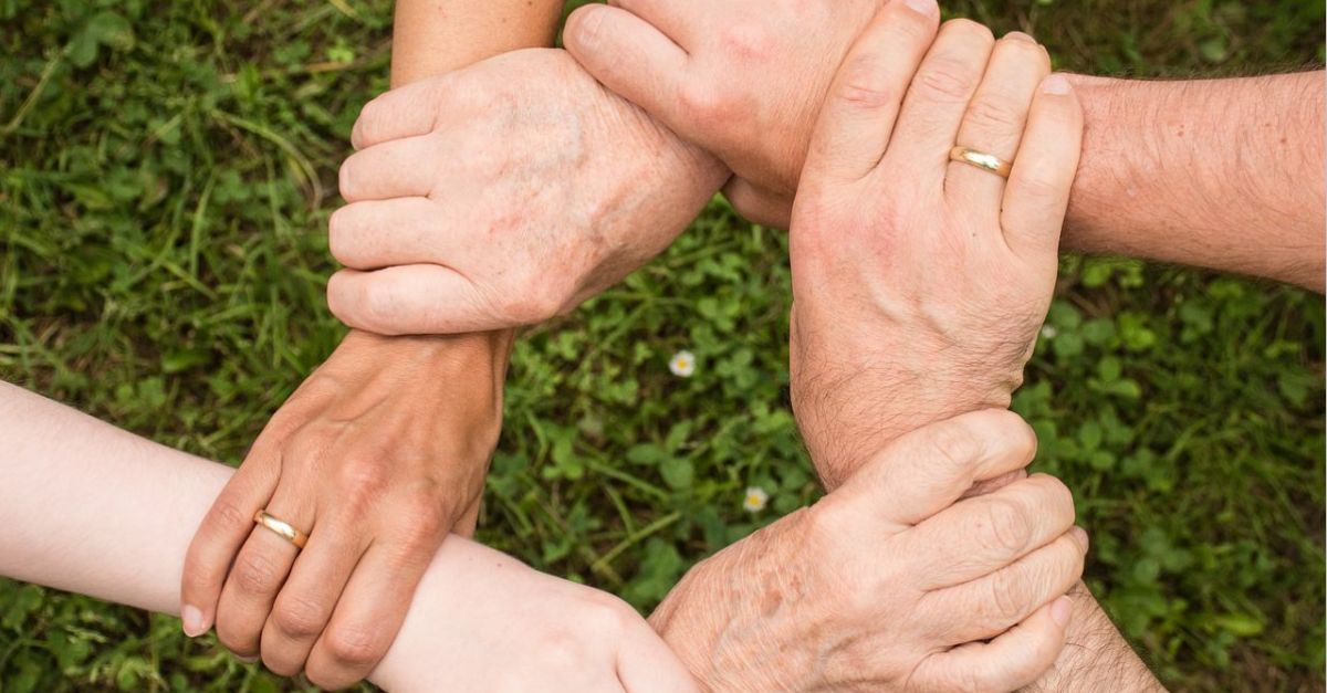 El plenari del Consell Municipal de Serveis Socials dAmposta tanca el 2023 amb la seua trobada anual