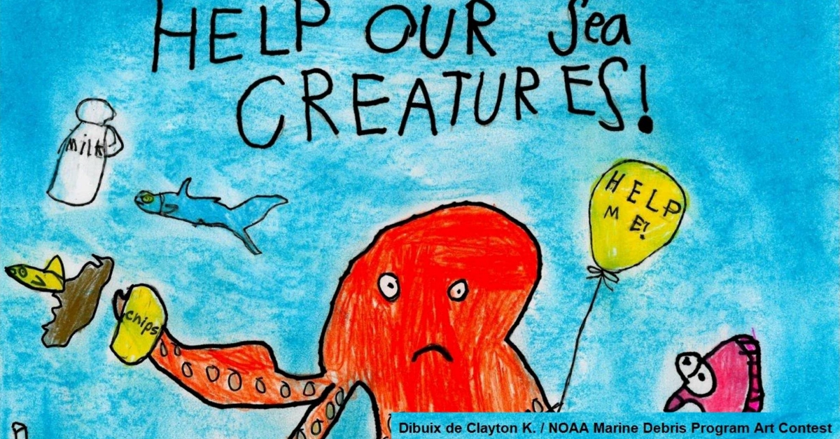 El Parc Natural del Delta de l&rsquo;Ebre organitza el primer concurs de dibuix sobre brossa marina