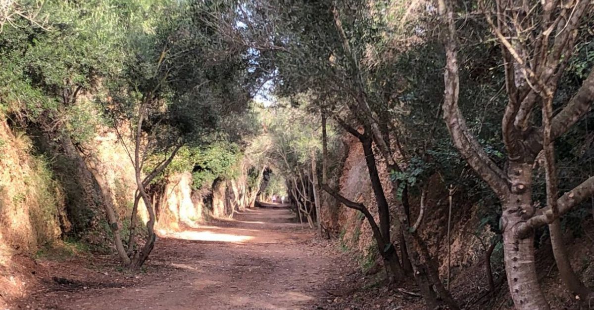 La recuperaci� de la Val de Zaf�n com a via verda, acc�ssit del Premi Iniciativa Medi Ambient 2022 de la Diputaci� de Tarragona