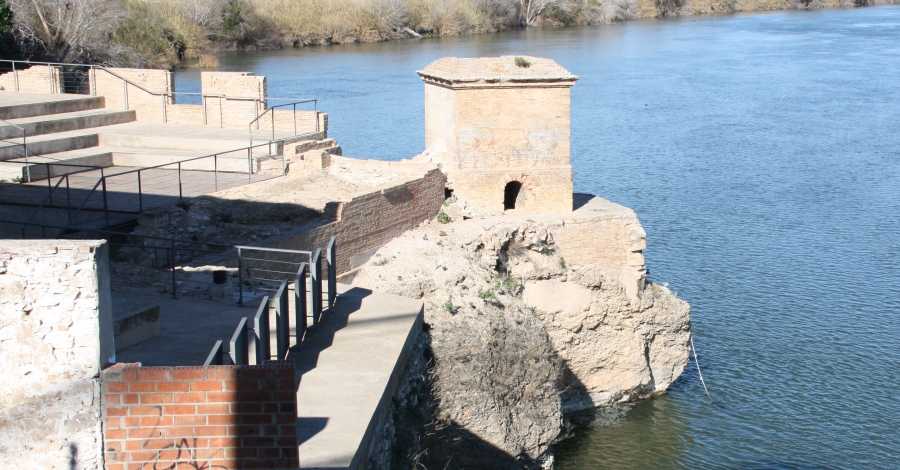 Presentaci del projecte de regeneraci ambiental i posada en valor de la faana fluvial i a lencesa de llums de larc gtic