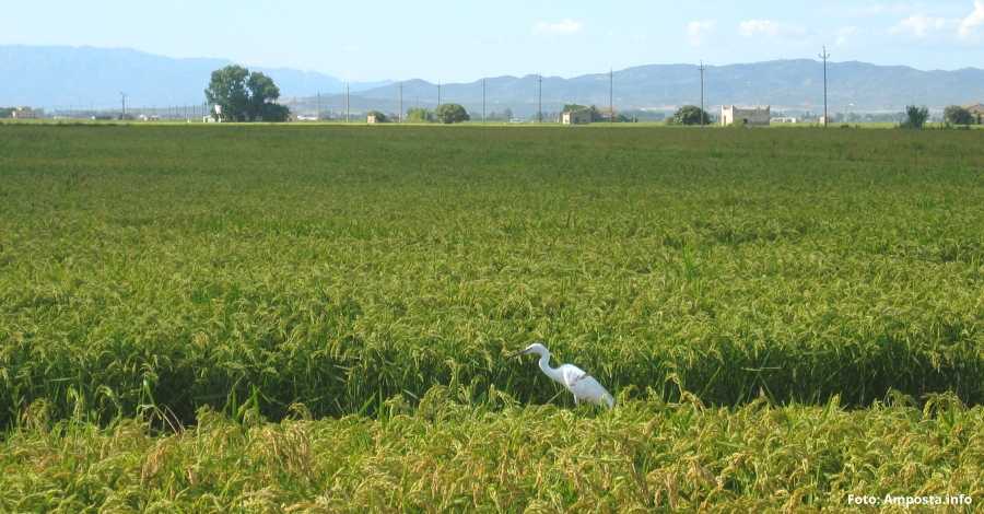 Presentaci� de l�Associaci� d�Empreses i Activitats Tur�stiques del Delta de l�Ebre
