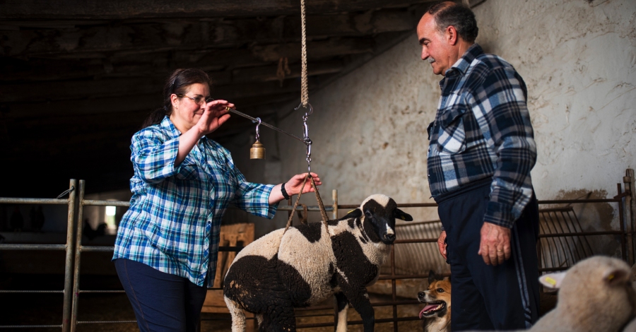 �La fam�lia Torres-Soriano i la cultura material dels pastors�, nova exposici� del cicle 