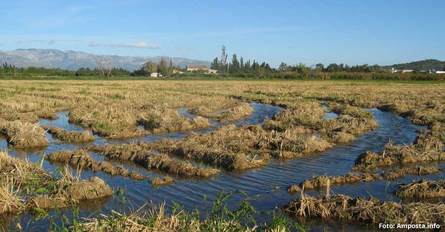 Els Paisatges a la taula