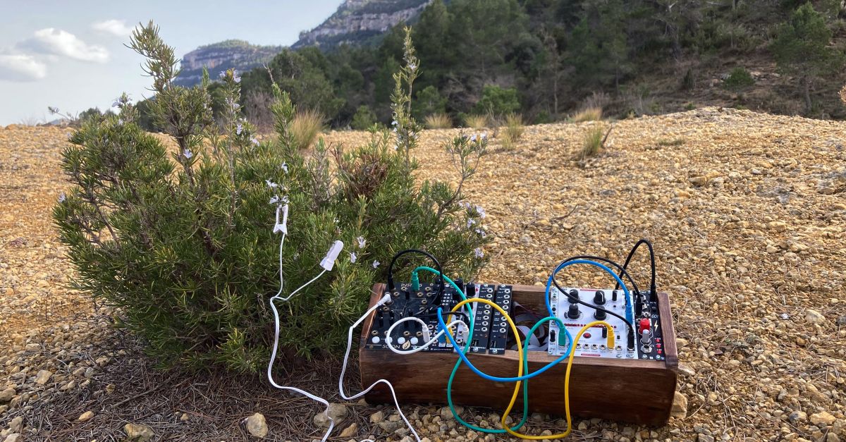 Judeline i el duet escoc�s Kinbrae, els primers artistes anunciats de l&rsquo;Euf�nic 2022