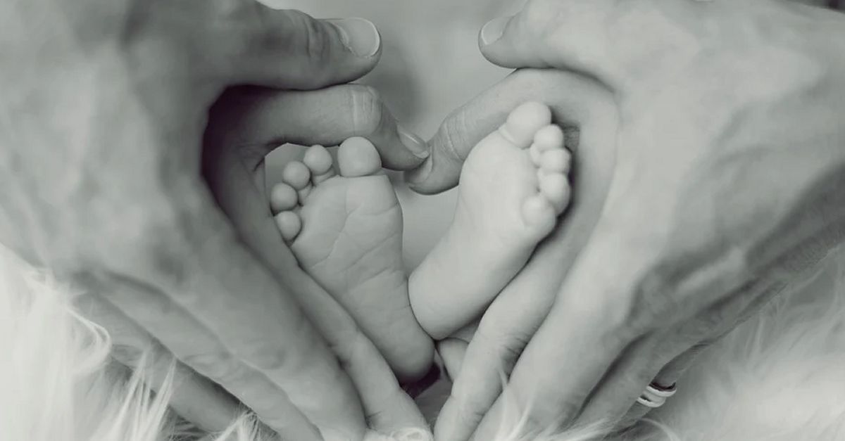 Amposta engega un programa de crian�a per a infants i persones gestants