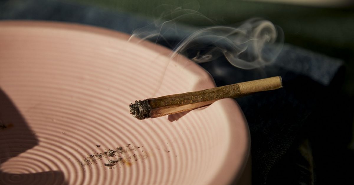 Serveis Socials de l�Ajuntament treballa en la prevenci� del consum de marihuana entre adolescents