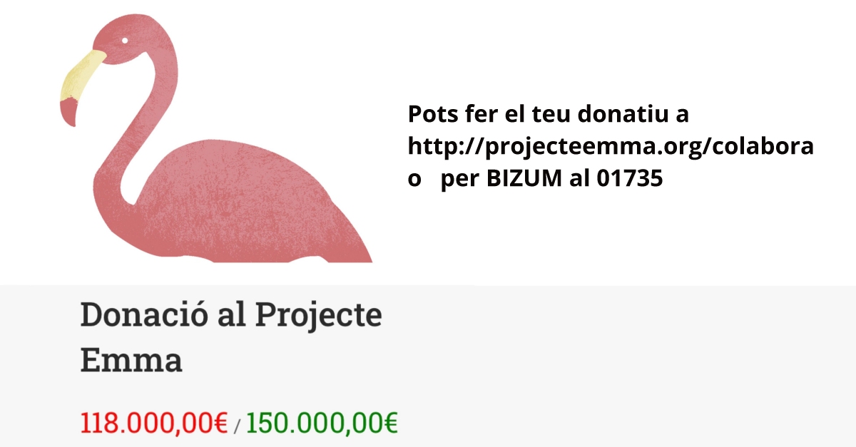 El Projecte Emma, a punt d&rsquo;arribar l&rsquo;objectiu de recaptar 150.000 euros per a la recerca contra el c�ncer de mama