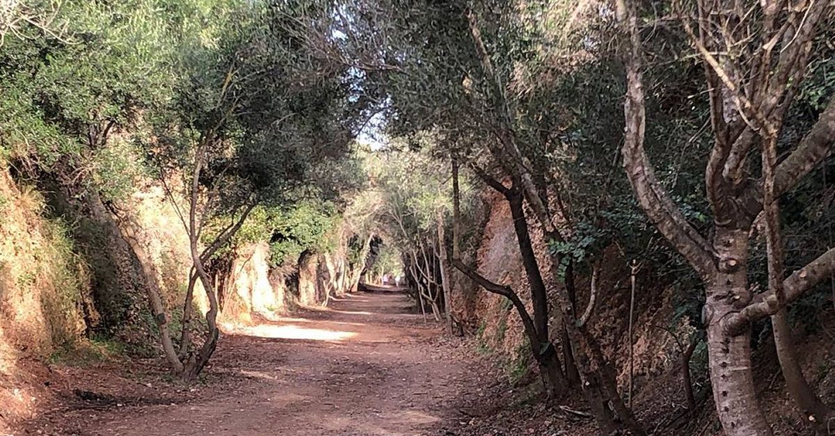 Amposta recupera un tram de la Via Verda amb els pressupostos participatius