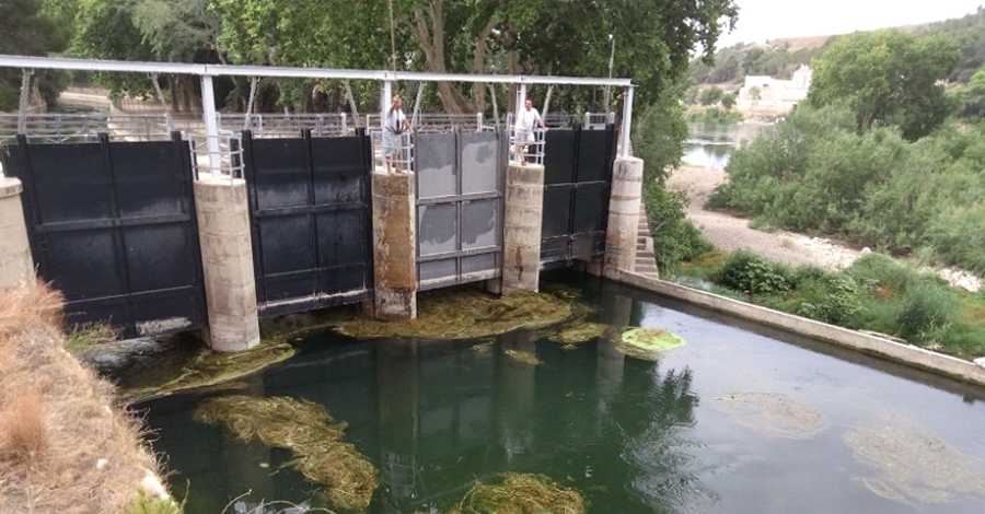 Les Comunitats de Regants del Delta reclamen que el llap� sigui declarat com a plaga