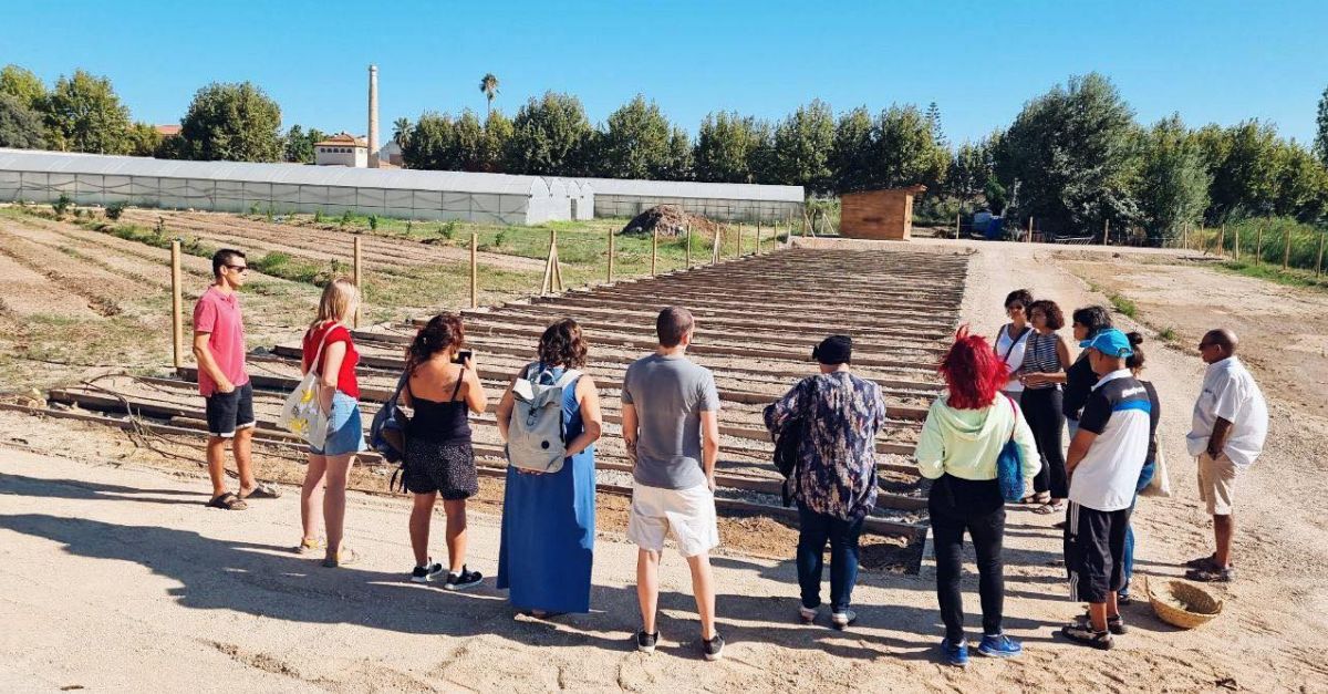 Es fa el repartiment de les de les parcel�les dels horts comunitaris