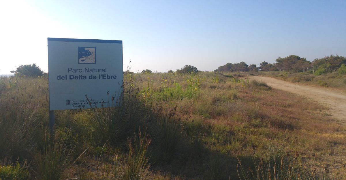 El parc natural del Delta de l&rsquo;Ebre presenta el seu resum d�actuacions i activitats de l�any 2023