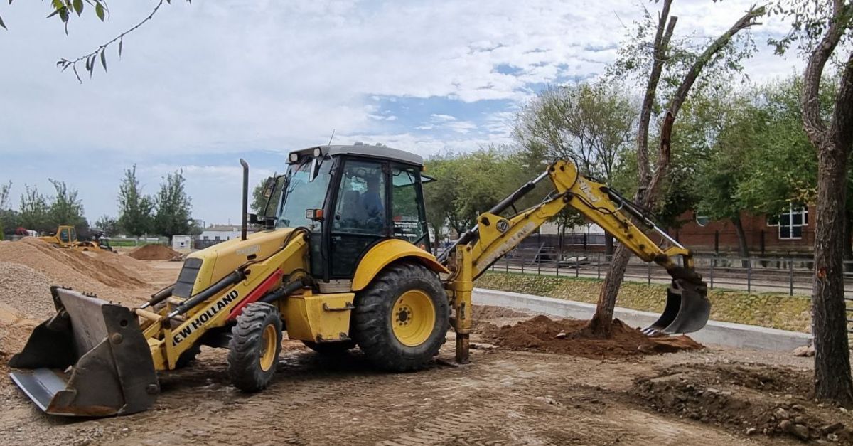 L�Ajuntament d�Amposta trasplanta diferents arbres per una gesti� m�s sostenible de la biodiversitat