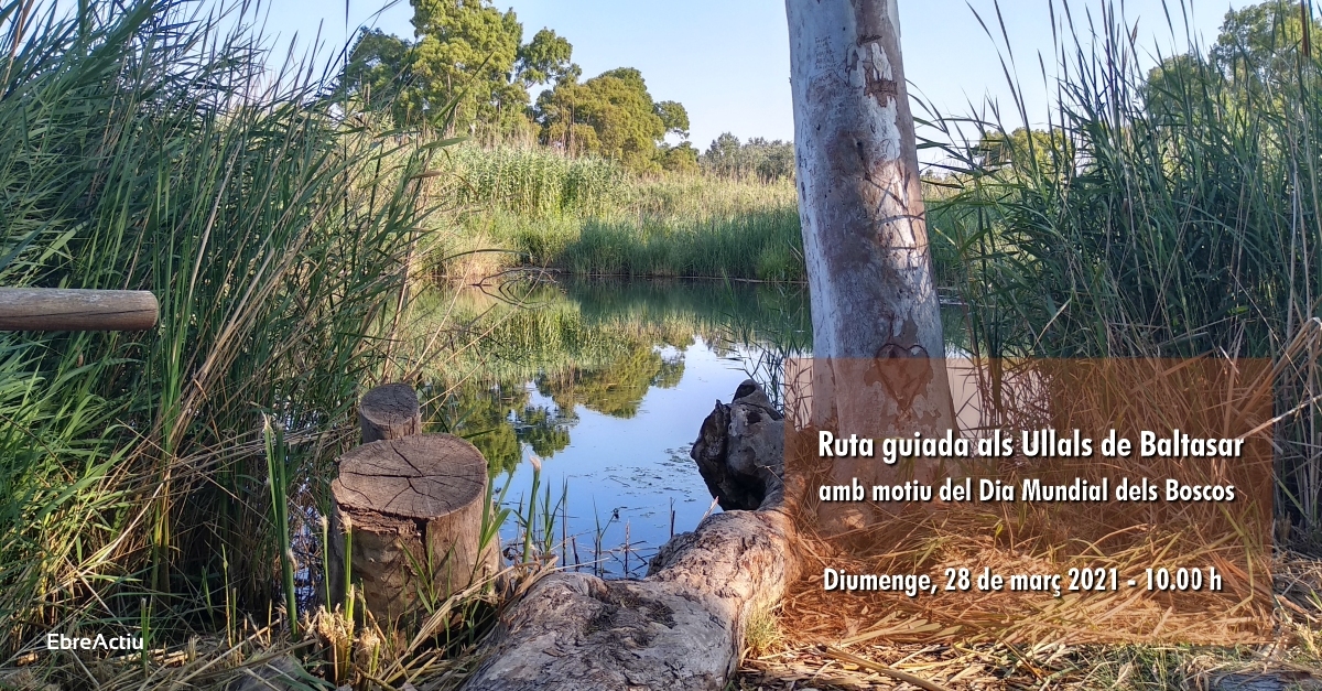 Ruta guiada als Ullals de Baltasar