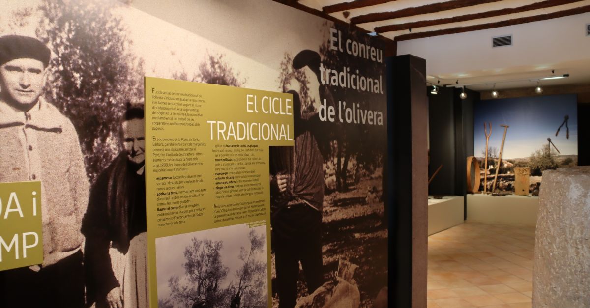 Segona edici� de l&rsquo;experi�ncia tur�stica per les planes del Montsi� per con�ixer la cultura tradicional vinculada a les oliveres i a l&rsquo;oli