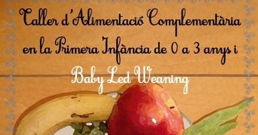 Taller dalimentaci complementria en la primera infncia de 0 a 3 anys